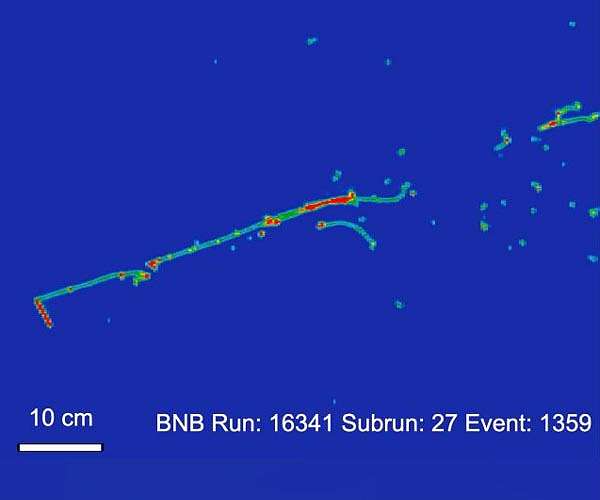 Groundbreaking findings in hunt for new neutrinos in the universe