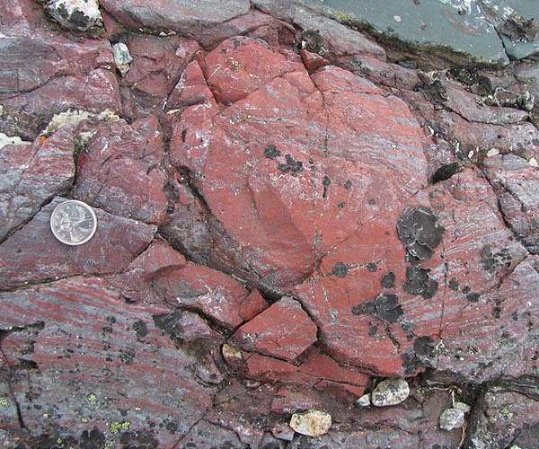 Diverse life forms may have evolved earlier than previously thought