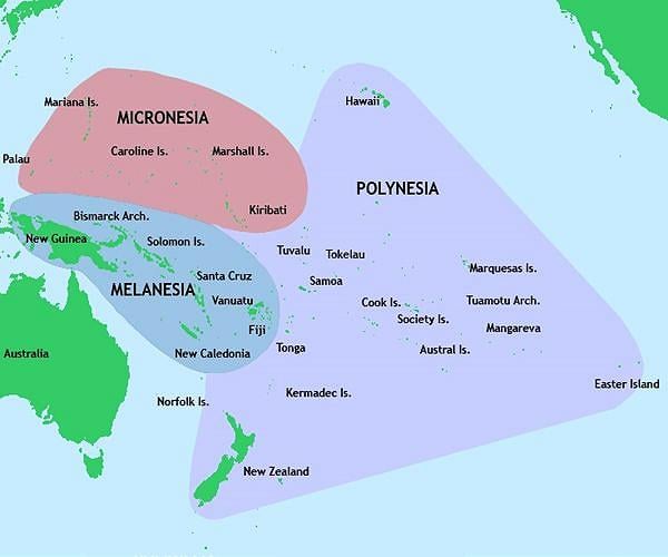 How larger body sizes helped the colonizers of New Zealand