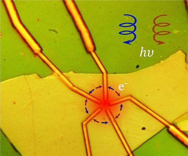 Unique electrical properties in quantum materials can be controlled using light