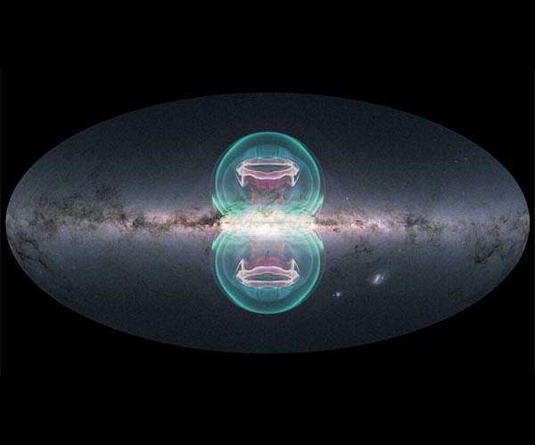 eROSITA detects unique temperature and shape variations in the Local Hot Bubble
