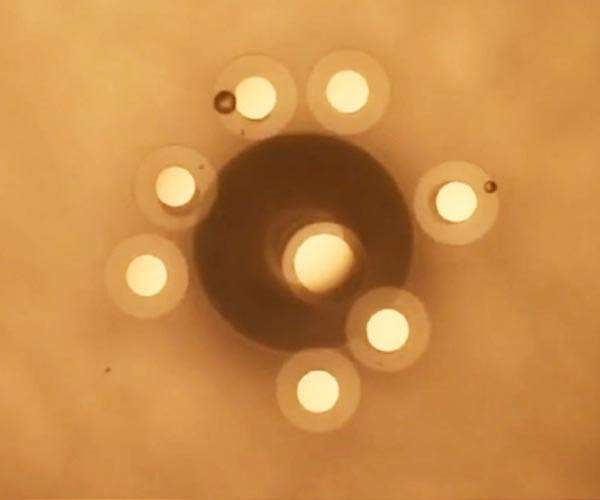 Tiny particles work together to do big things