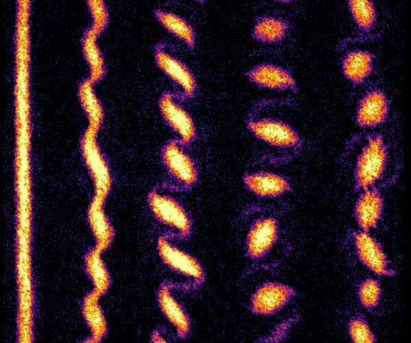 Physicists watch as ultracold atoms form a crystal of quantum tornadoes