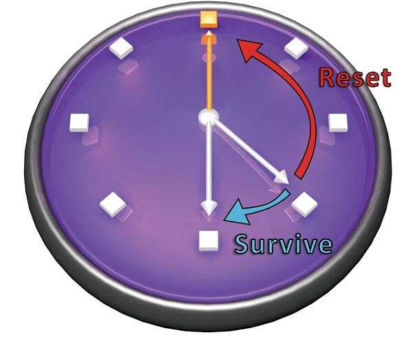 Single quantum bit achieves complex systems modeling