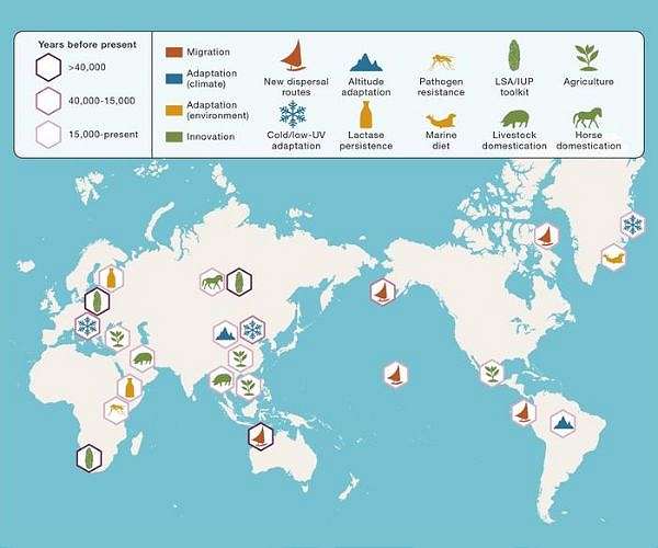 Becoming human: An ancient genome perspective