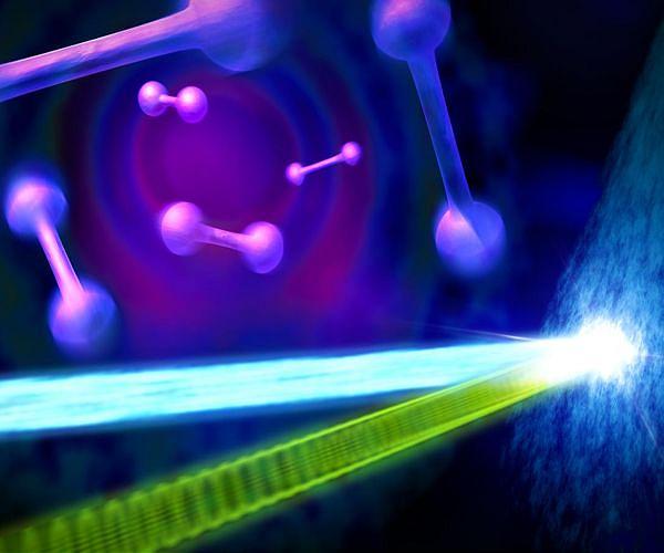 Unresolved puzzles in exotic nuclei