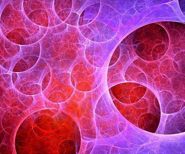 Falsifying the role of the Anthropic Principle in Cosmology
