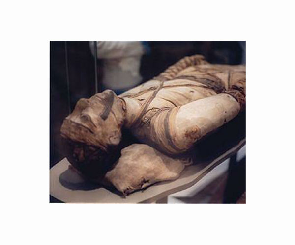 CT scans of Egyptian mummy suggest 'brave' pharaoh was executed