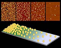 Gold Nanoparticle Material Enables Graduated Substrate Deposits