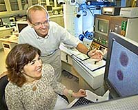 Scientists Study and Learn To Prevent Nanoparticle "Merging"