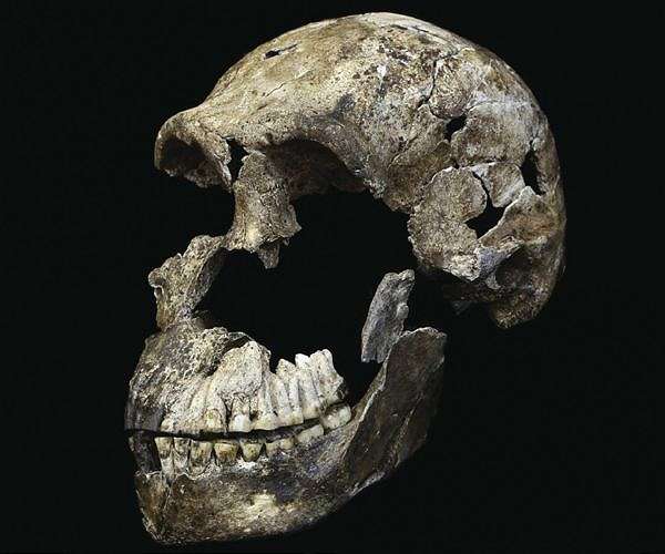 Where hominid brains are concerned, size doesn't matter