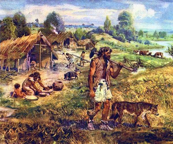 Traces of 10000-year-old rice beer unearthed at neolithic site in China