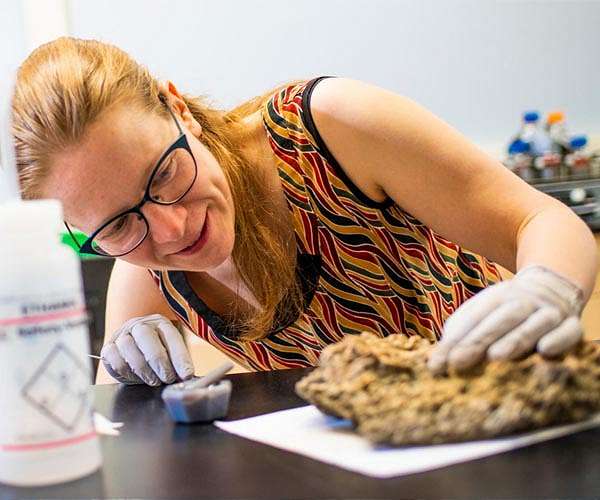 Scientists identify new minerals for carbon capture