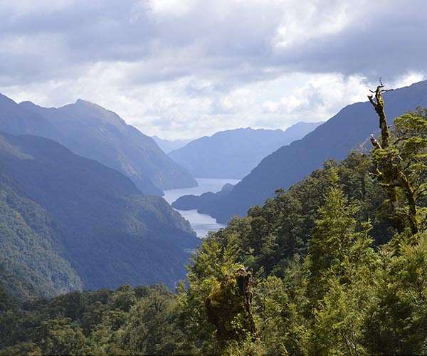 Fjords, small in size and number, are significant carbon reservoirs