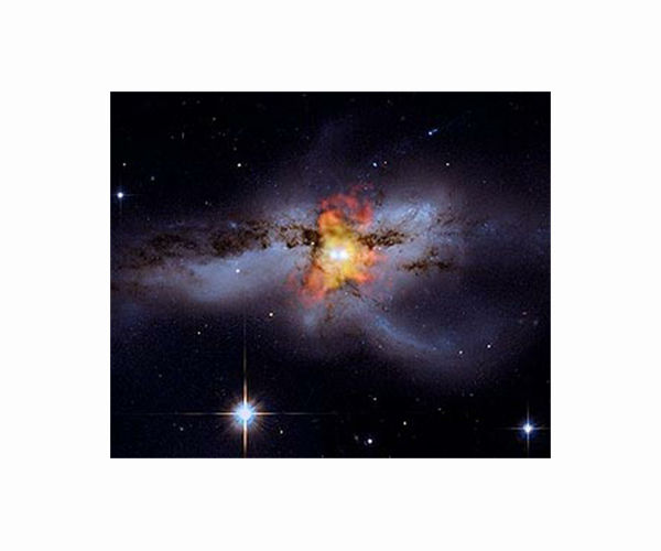 Black hole and stellar winds shut down star formation in galaxy