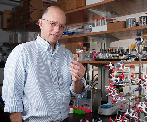 Asteroid 'time capsules' may help explain how life started on Earth