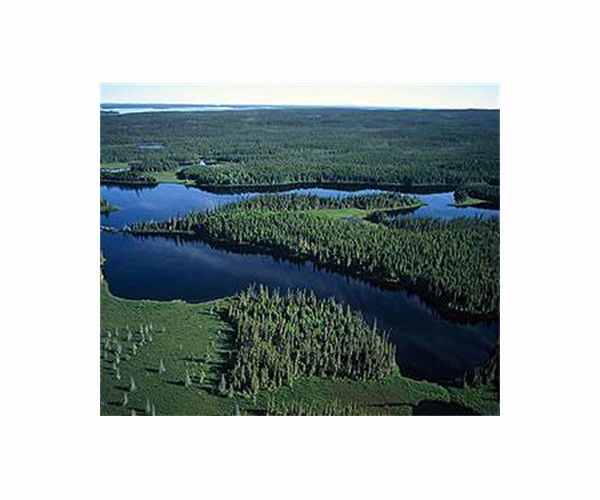Climate change in Quebec equals a much greater diversity of species?