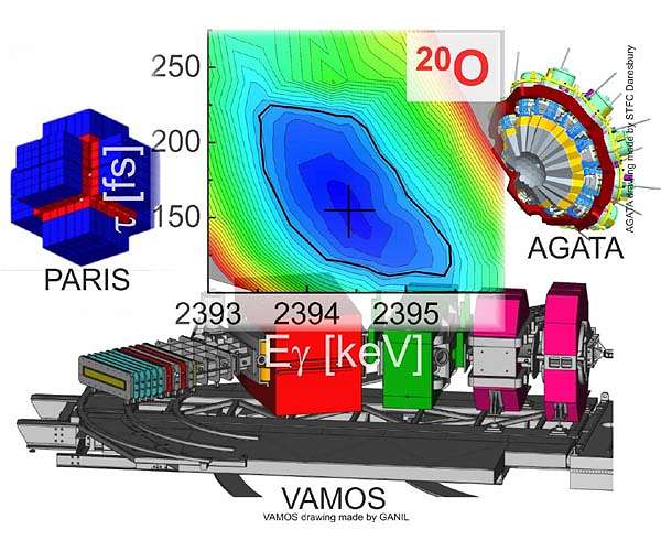 The nature of nuclear forces imprinted in photons
