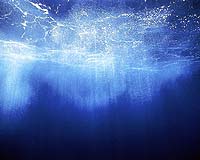 The Striking Deep Current Reversal In The Tropical Pacific Ocean