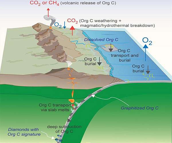 Warmer biosphere reduces organic carbon sequestation beneath oceans