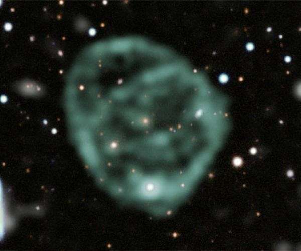 Space Oddity: Uncovering the Origin of the Universe's Rare Radio Circles