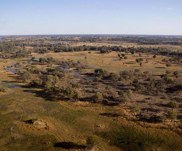 Hunting in savanna-like landscapes may have poured jet fuel on brain evolution