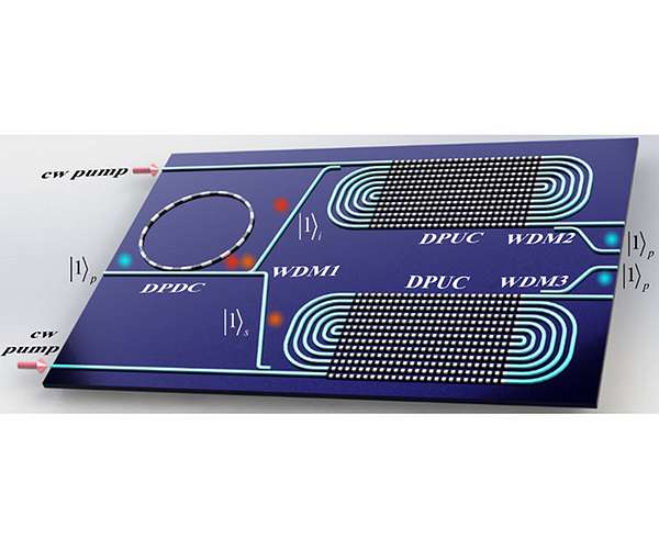 Toward practical quantum optics: multiphoton qubits from LNOI