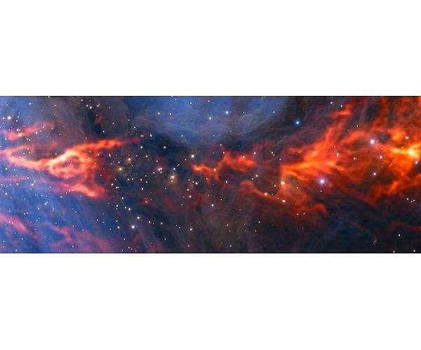 ALMA reveals inner web of stellar nursery