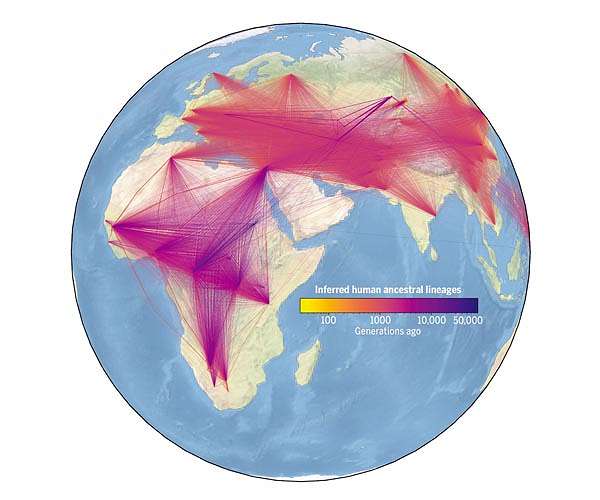 University of Oxford researchers create largest ever human family tree