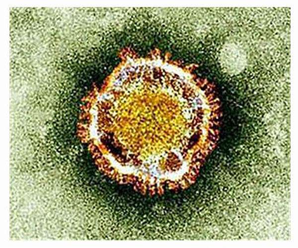 Tunisia researchers use AI, X-rays to create online virus scan tool