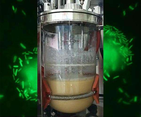 Making xylitol and cellulose nanofibers from paper paste