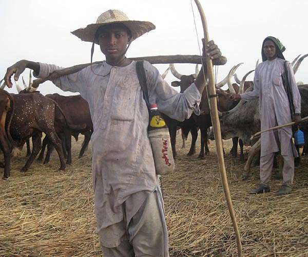 Milk-stained teeth reveal early dairy consumption in Africa