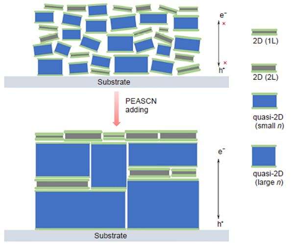 High-member low-dimensional Sn-based perovskite solar cells
