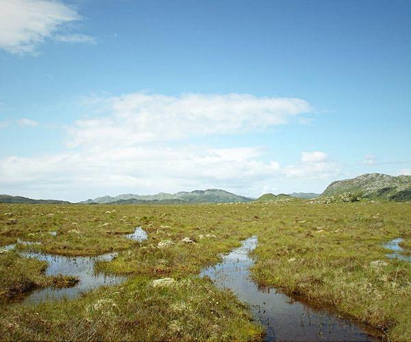 Mapping Ireland's peatlands to help cut carbon emissions
