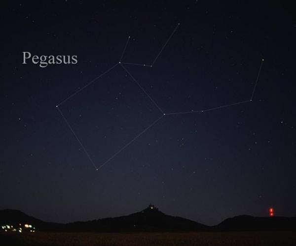 Astronomy Meets Equestrian: Constellations Inspired by Horses