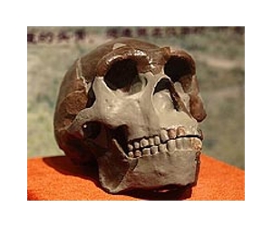 'Peking Man' 200,000 years older than thought: study