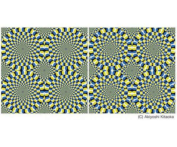 Illusory motion reproduced by deep neural networks trained for prediction