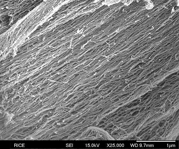 FEFU scientists reported on toxicity of carbon and silicon nanotubes and carbon nanofibers