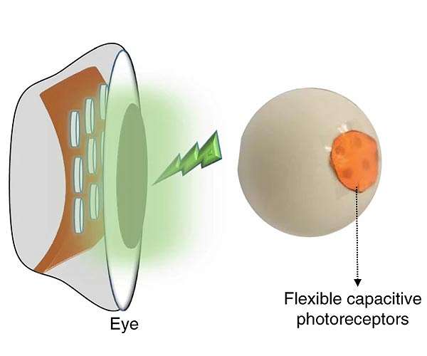 Perovskites used to make efficient artificial retina