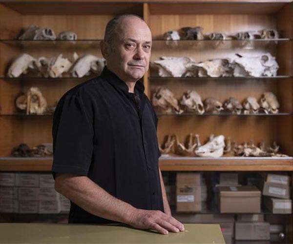 New species of early human found in the Philippines