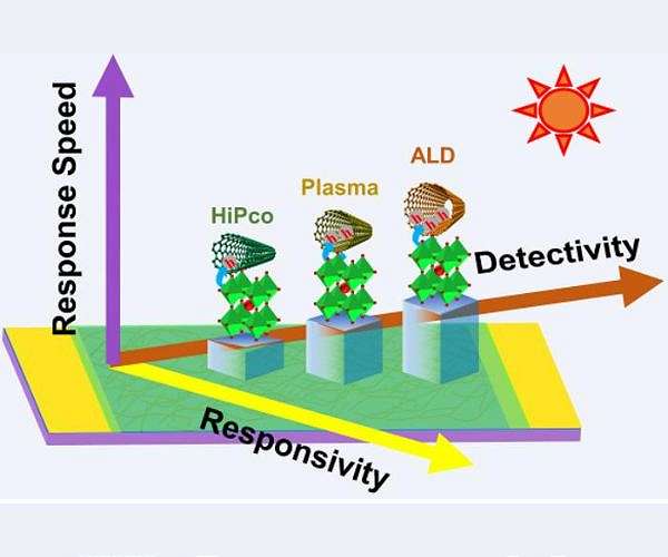 Size Matters: Carbon nanotube diameter influences photodetector efficiency