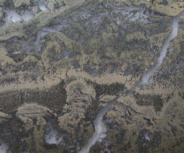 Scientists find microbial remains in ancient rocks
