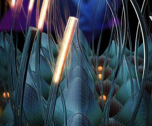 Laser-based prototype probes cold atom dynamics