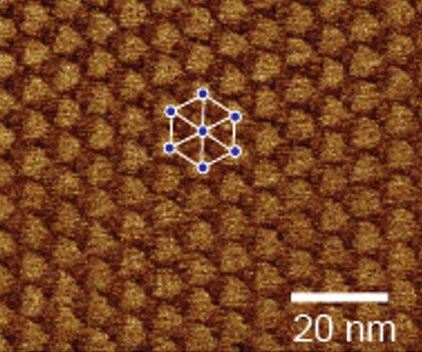 Scientists create aligned nanotubes using tungsten disulfide