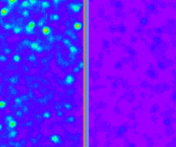 USTC enhances fluorescence brightness of single silicon carbide spin color centers