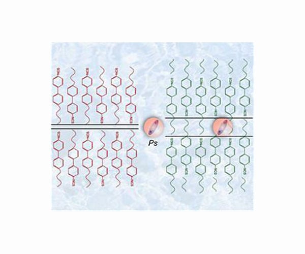 Exploring mass dependence in electron-hole clusters