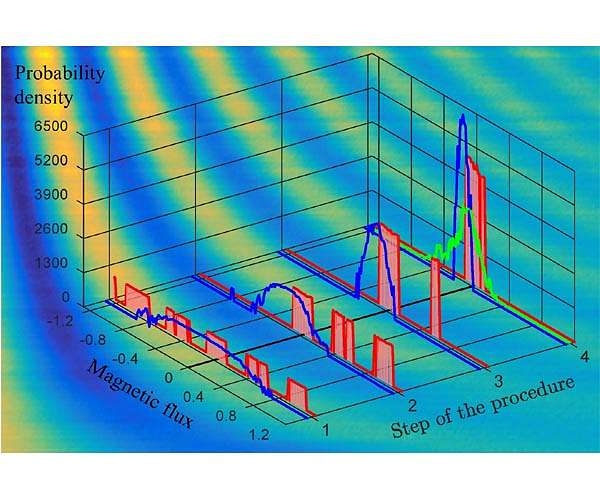 A refined magnetic sense