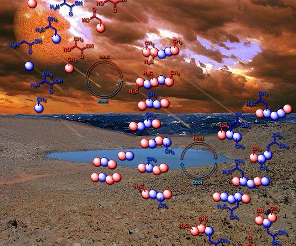 One billion years of protein evolution reveals surprising design flexibility