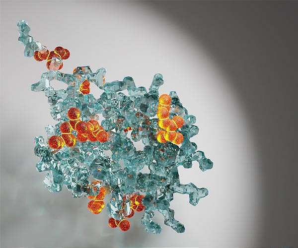 New study provides novel insights into the cosmic evolution of amino acids