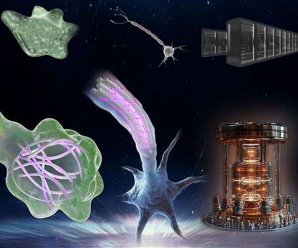 Howard University researcher explores quantum bounds on life's computational power